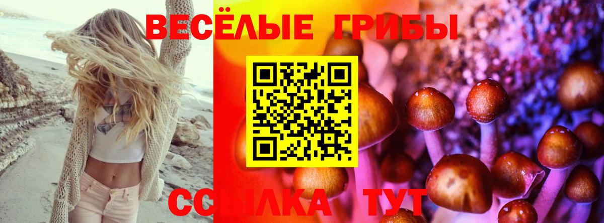 Галлюциногенные грибы GOLDEN TEACHER Кунгур